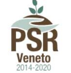 psr veneto